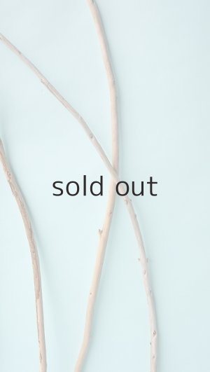 画像4: 棒流木セット