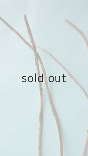 画像5: 棒流木セット