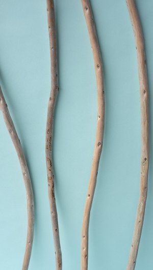 画像5: 棒流木セット