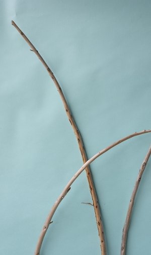 画像5: 棒流木セット