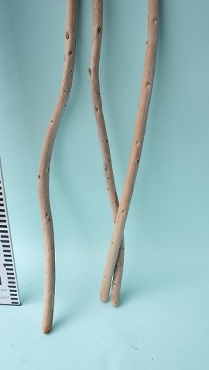 画像7: 棒流木セット