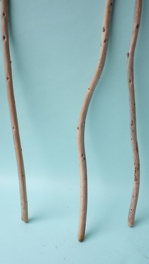 画像2: 棒流木セット