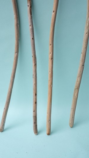 画像2: 棒流木セット