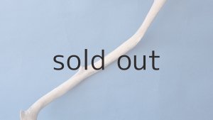 画像3: 小枝流木