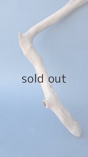 画像2: 小枝流木