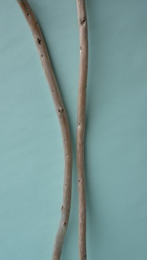 画像3: 棒流木セット