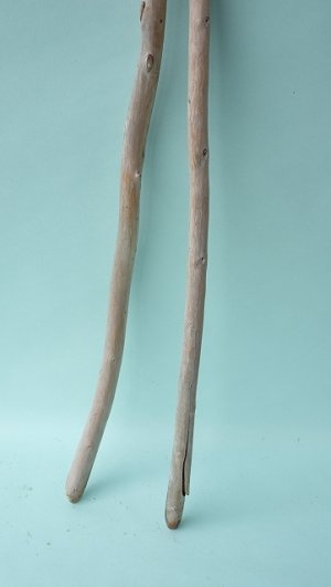 画像2: 棒流木セット