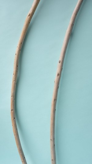 画像3: 棒流木セット