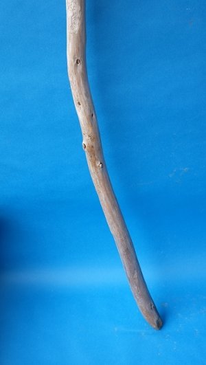 画像2: 棒流木・長尺