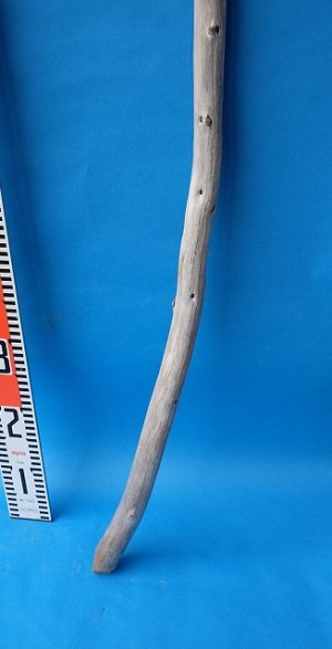 画像5: 棒流木・長尺