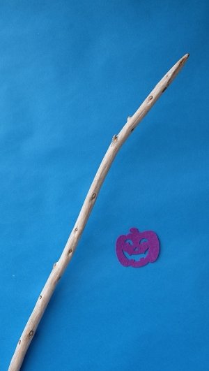 画像4: 棒流木・長尺