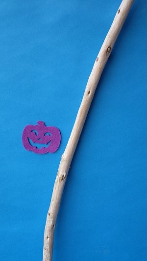 画像3: 棒流木・長尺