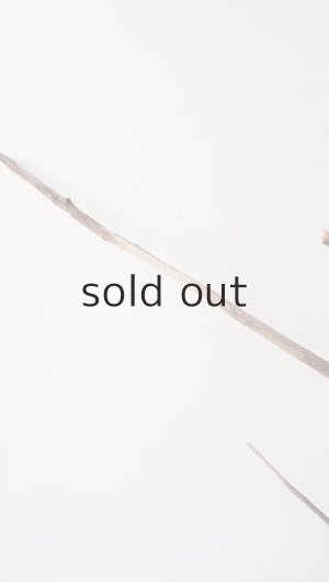 画像8: 流木根（中型）