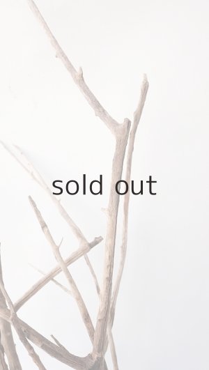 画像6: 流木根（中型）