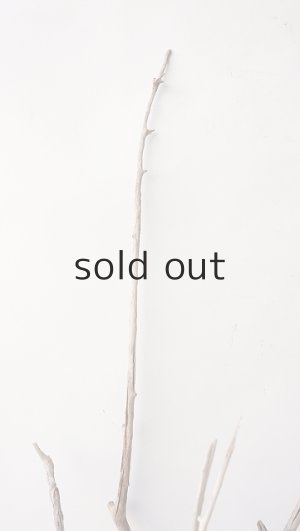 画像4: 流木根（中型）