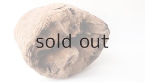 画像5: 変形流木（中型）