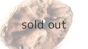 内部は数ヶ所空洞になっています。