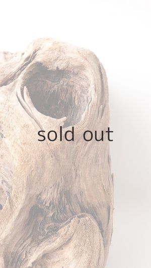 画像3: 変形流木（中型）