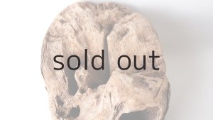 画像4: 変形流木（中型）