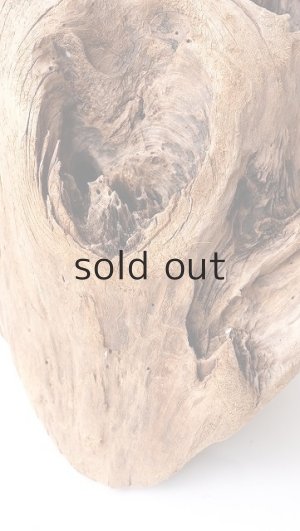 画像2: 変形流木（中型）