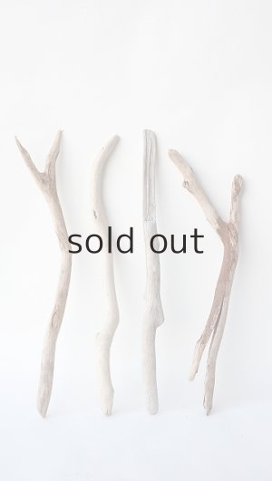 画像1: 小枝流木セット