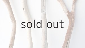 画像3: 小枝流木セット