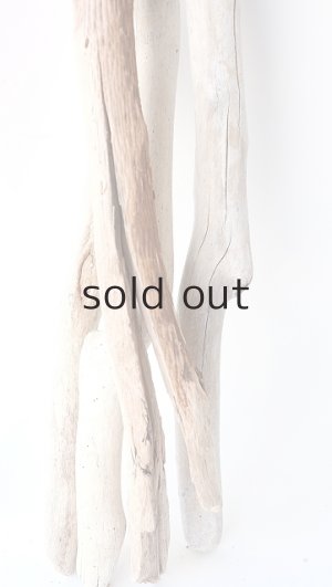 画像5: 小枝流木セット