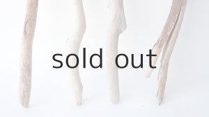 画像2: 小枝流木セット