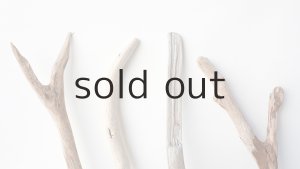 画像4: 小枝流木セット