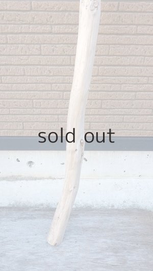 画像2: 幹流木・長尺