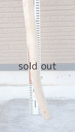 画像6: 幹流木・長尺