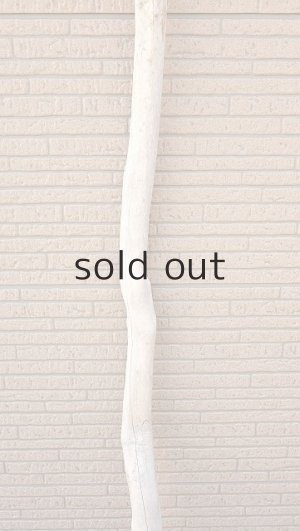 画像3: 幹流木・長尺