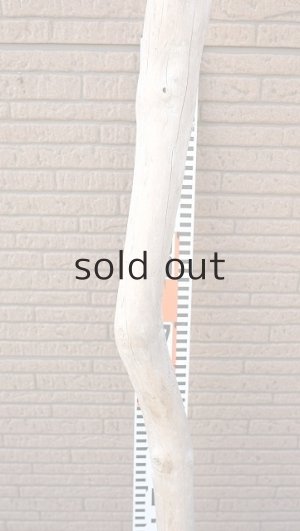 画像6: 幹流木・長尺