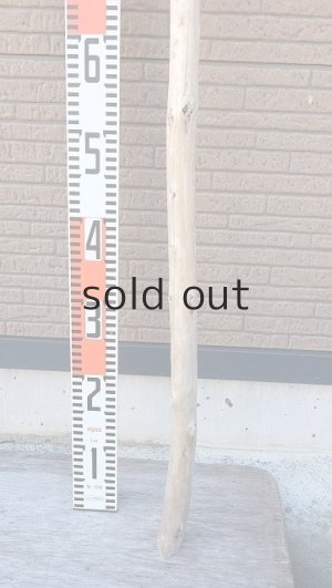 画像6: 棒流木・長尺