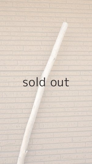 画像5: 棒流木・長尺