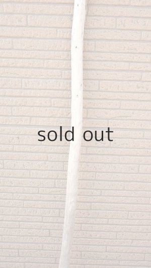 画像3: 棒流木・長尺