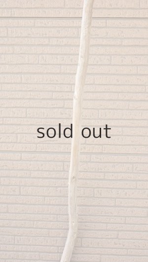 画像4: 棒流木・長尺