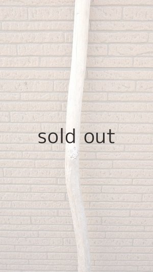 画像3: 棒流木・長尺