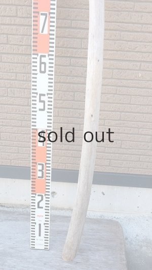 画像6: 棒流木・長尺