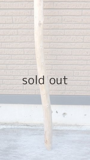 画像2: 棒流木・長尺