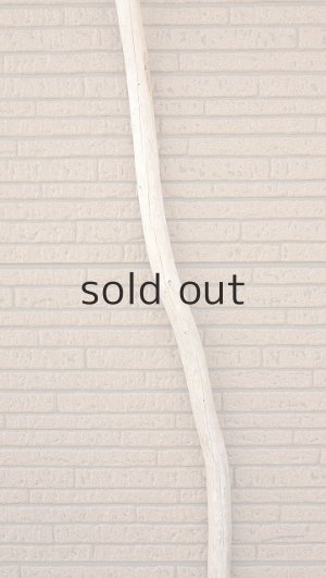 画像4: 棒流木・長尺