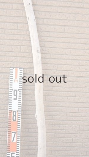 画像7: 棒流木・長尺