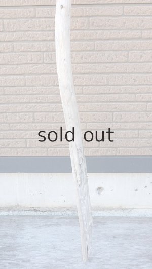 画像2: 棒流木・長尺