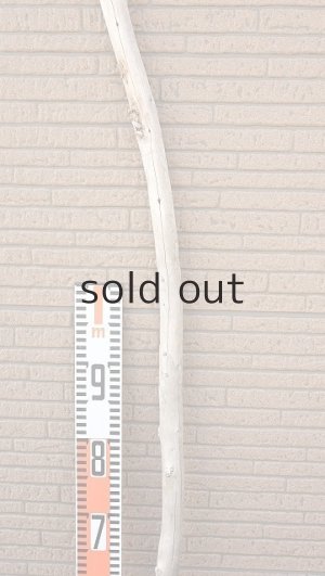 画像6: 棒流木・長尺