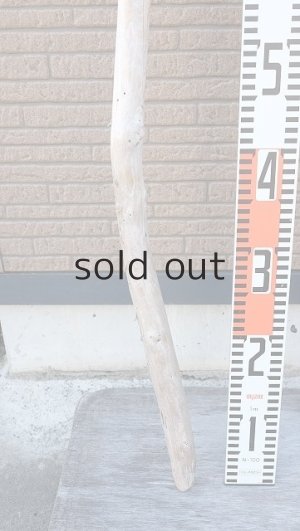 画像6: 棒流木・長尺