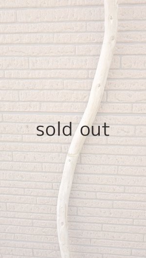 画像3: 棒流木・長尺