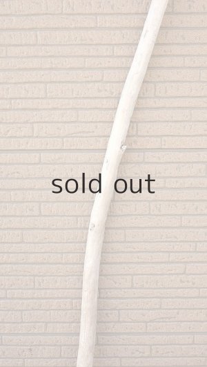 画像4: 棒流木・長尺