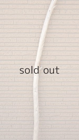 画像4: 棒流木・長尺