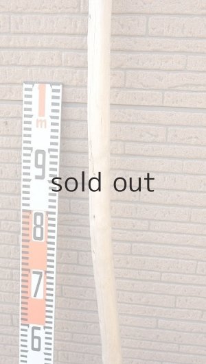 画像7: 棒流木・長尺