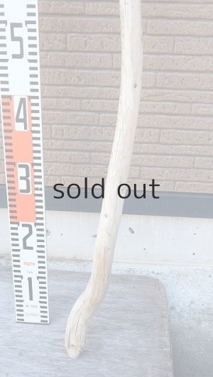 画像6: 棒流木・長尺